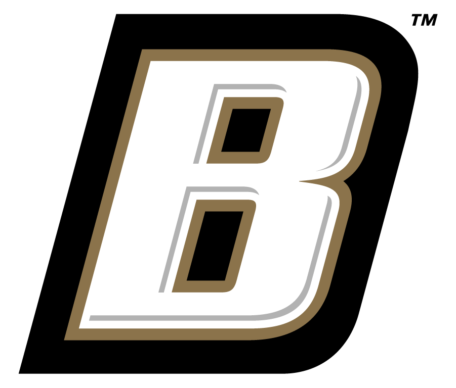 Bryant Bulldogs 2004-Pres Secondary Logo DIY iron on transfer (heat transfer)